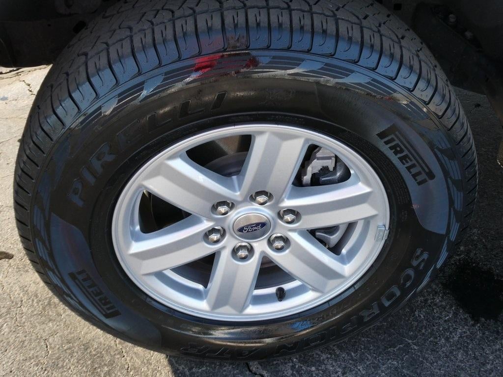 2024 Ford F-150 XL 4WD Reg Cab 6.5' Box